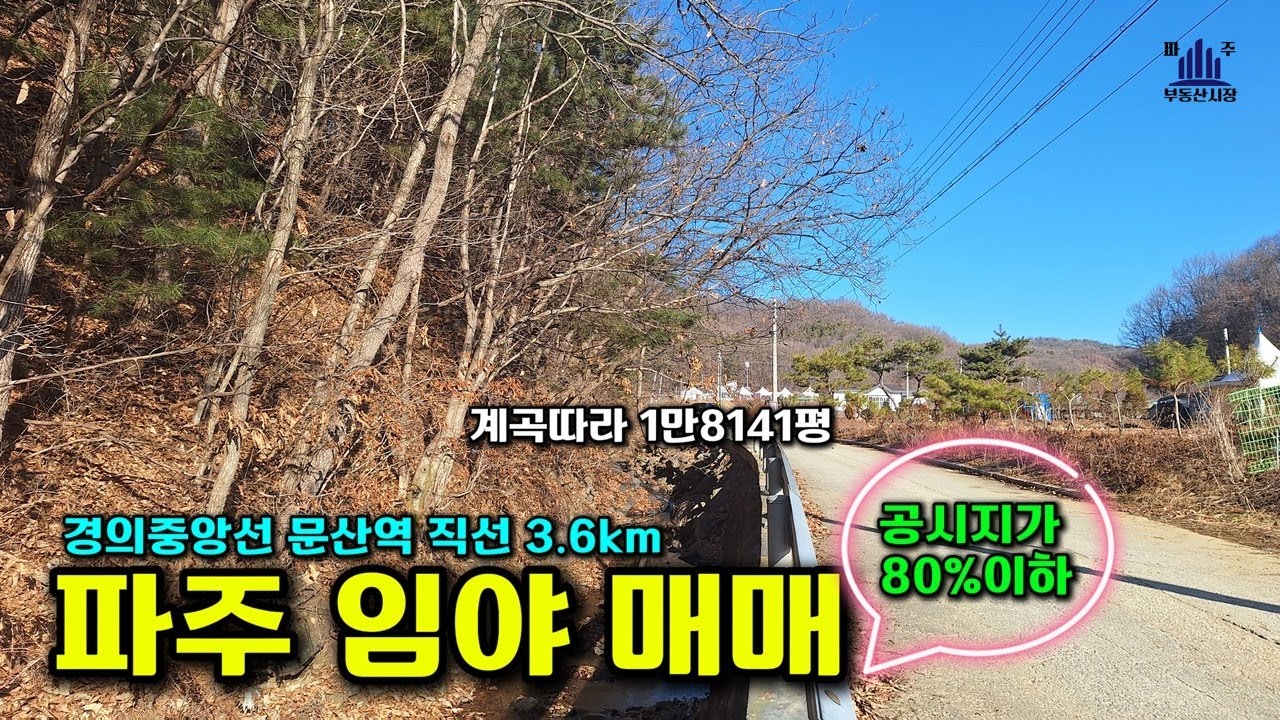 전철역과 시내에서 가까운 야산 평당 7만5000원 #파주임야매매