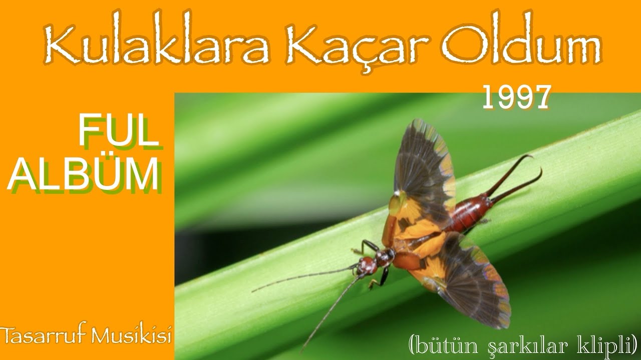 BELEŞ ALBÜM!! FUL ALBÜM! Bütün Şarkılar Klipli!!