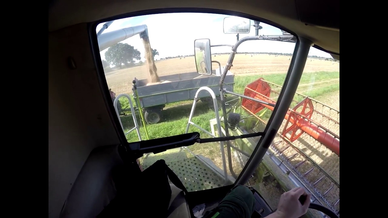 Let's Drive: Cabview Claas Lexion 440 im Weizen