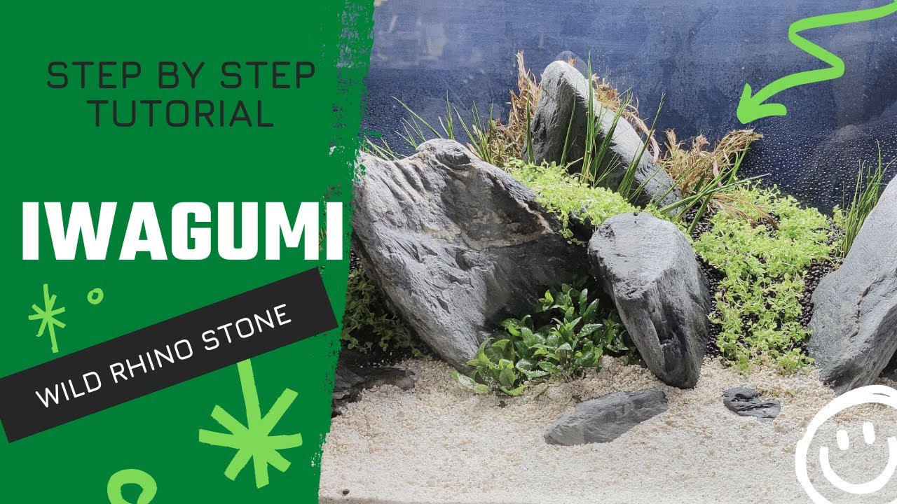Iwagumi Wild Rhino Stone - AQUAEL OPTISET 125
