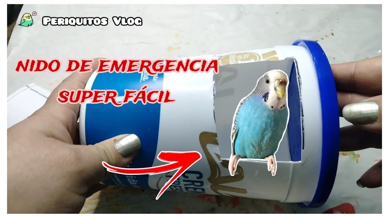 nido casero fácil ♻️ para periquitos australianos