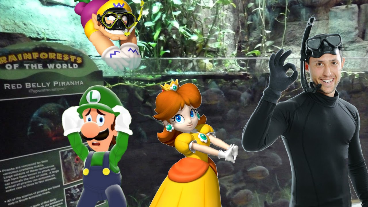 Wario dies by getting eaten alive after diving into the Red Belly Piranha tank at an aquarium.mp3