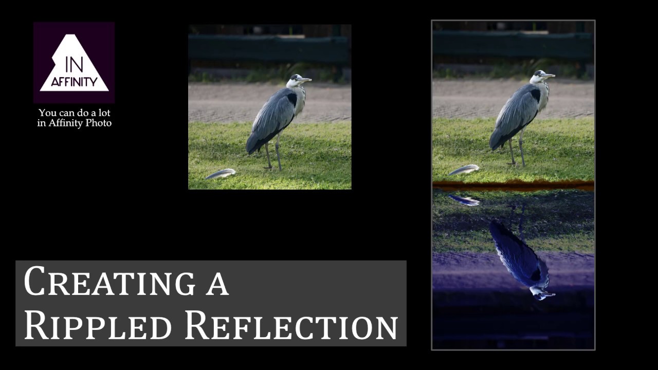 Creating a Rippled Reflection in Water using Affinity Photo