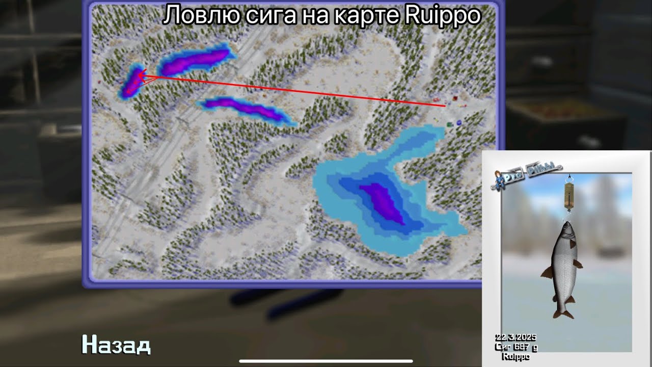 ОБНОВЛЕНИЕ ВЫШЛО! РЫБАЛКА НА НОВОЙ ЛОКАЦИИ RUIPPO! #propilkki2