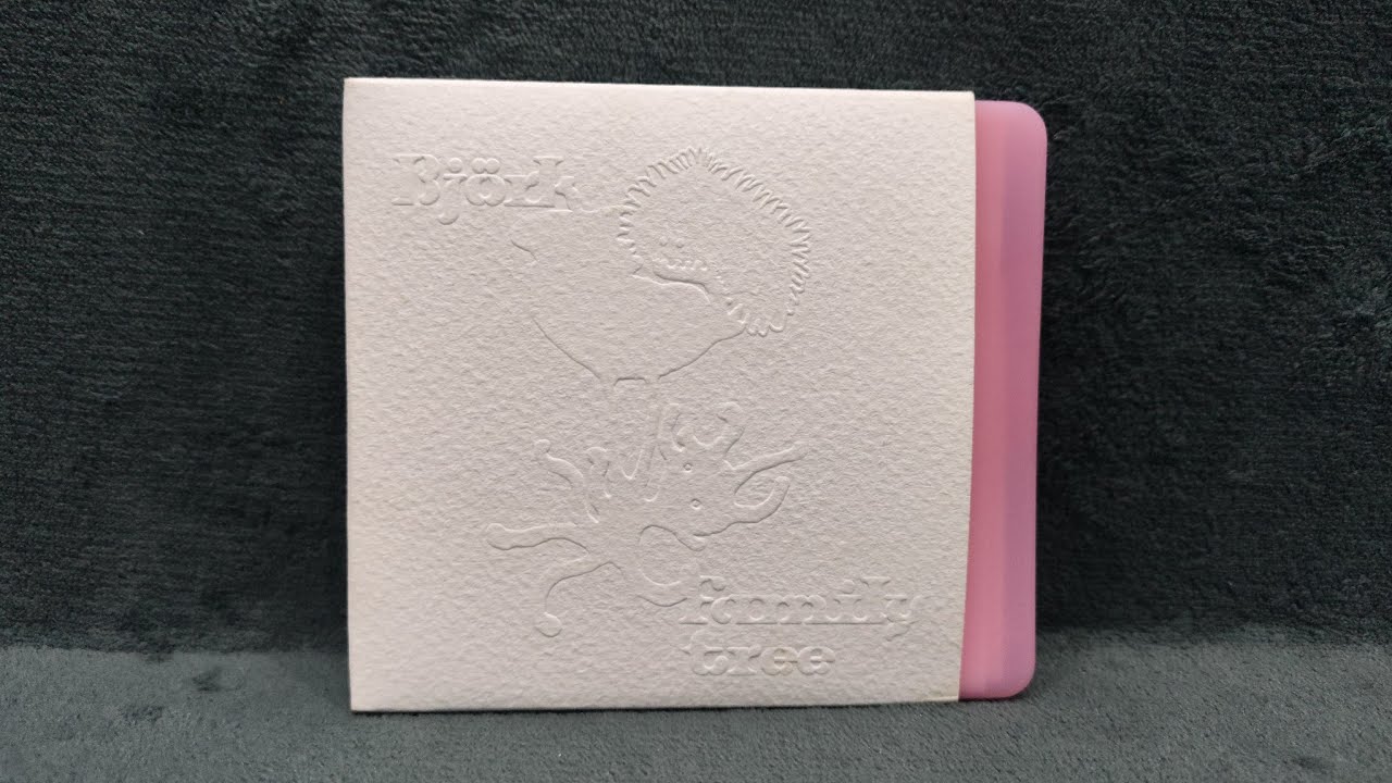 Björk - Family (Japanese Edition) (Boxset Unboxing)