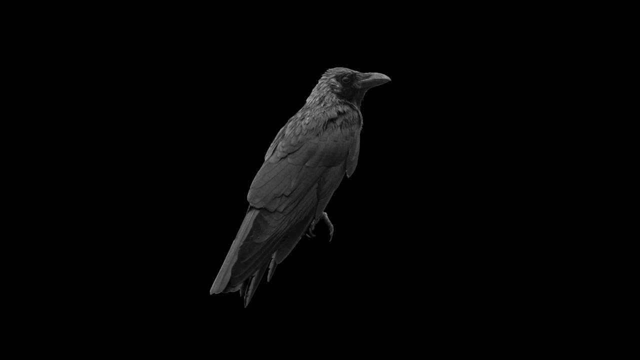 [FREE] Travis Scott x Drake Type Beat 'The Crow' - 2022