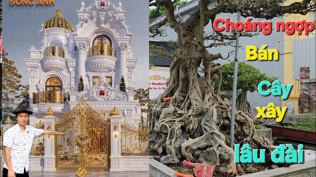 Chơi Cây rồi Bán Cây Xây Lâu đài Chỉ Có Em Ngọc đá KM Bất ngờ Thực Sự 
