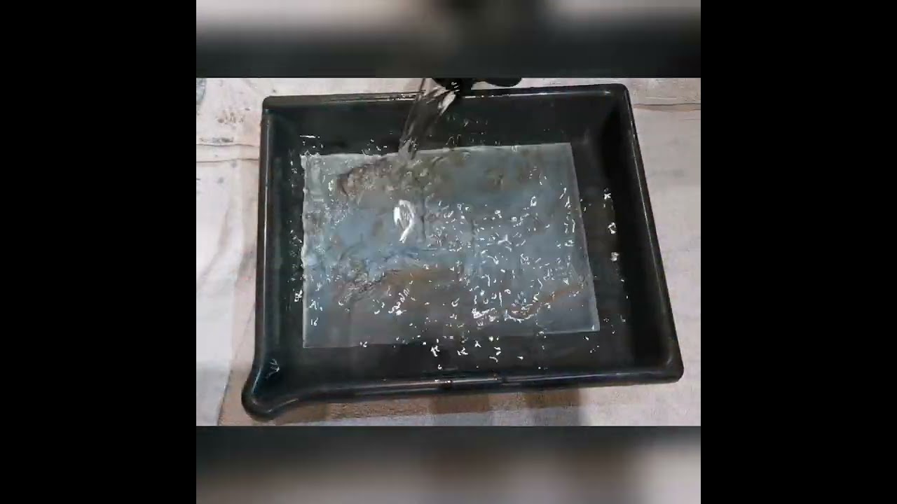 Demo Collodion humide Royal Enfield