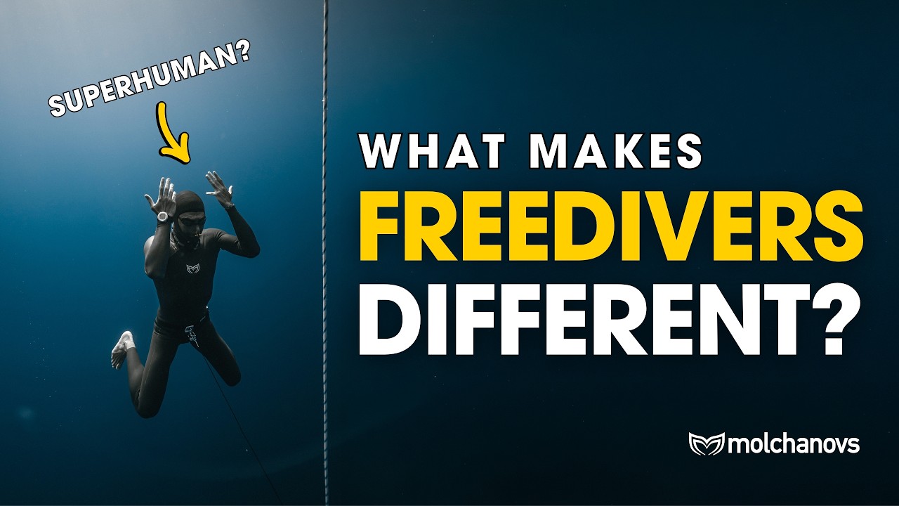 3 Differences Between an Average Person and a Freediver | Gus Kreveinas