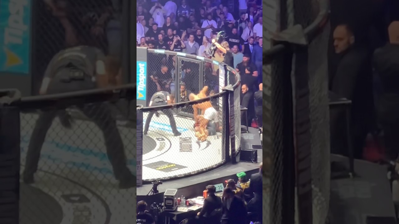 Flying Uwe vs Ediz Tasci Knockout‼️ #flyinguwe #edizderbreite #oktagon69 #mma #knockout #kampf #ufc