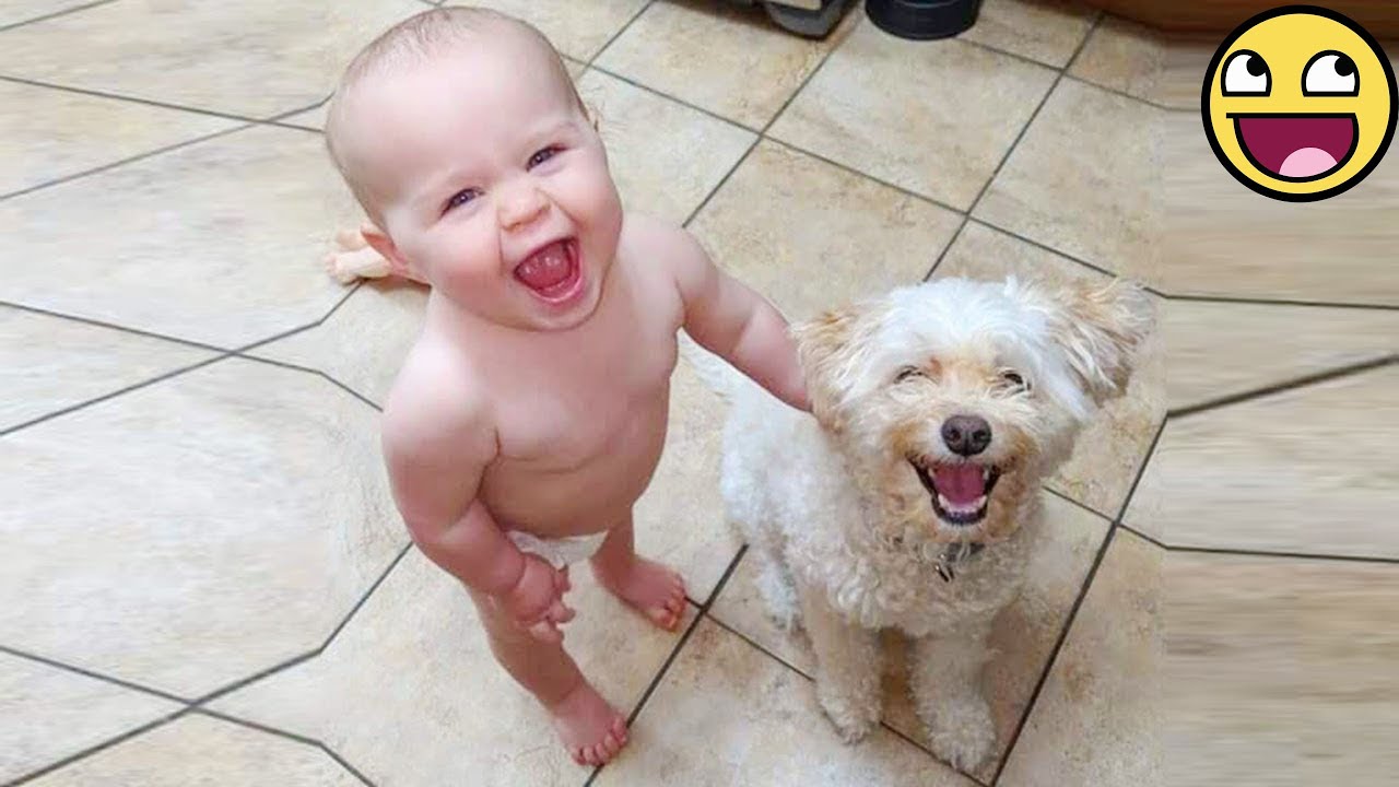Дети растут с собаками и кошками — любовь на всю жизнь 💖🐕🐱👶