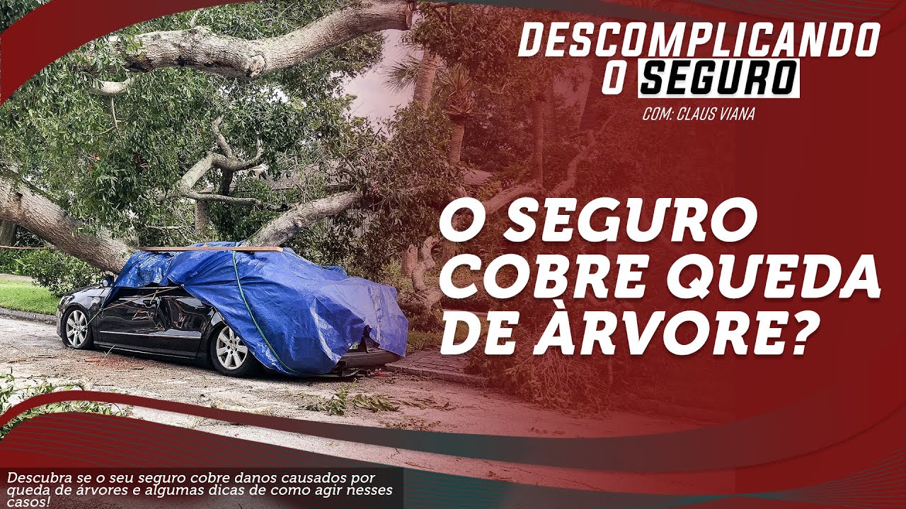 Meu seguro cobre queda de árvore?