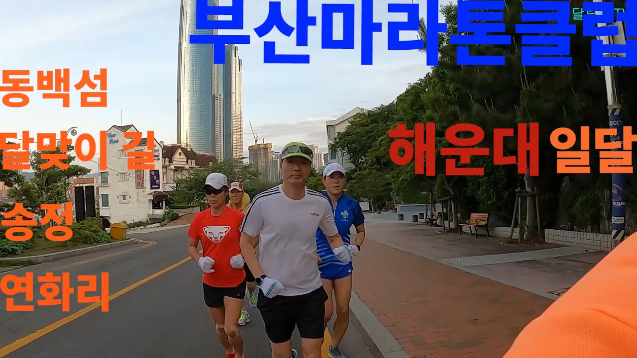 [클럽소개01]부산마라톤클럽/해운대일달/20.5.24