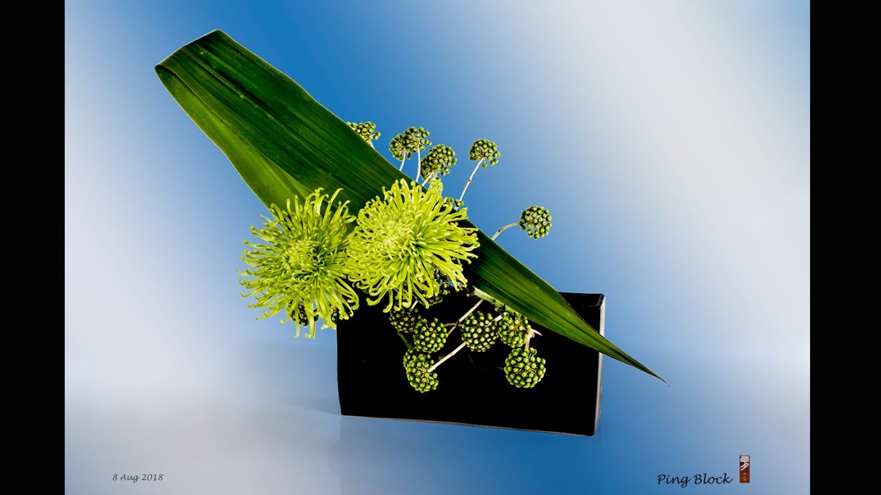 Sogetsu Ikebana Practicing Textbook 5: Lesson 4 Green Plant Material