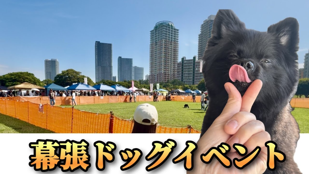 海浜幕張で開催された犬のイベントに行ってきました【あつまれワンダーランド】