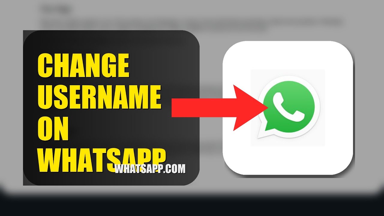 How To Change Username On WhatsApp 2025 (2026)