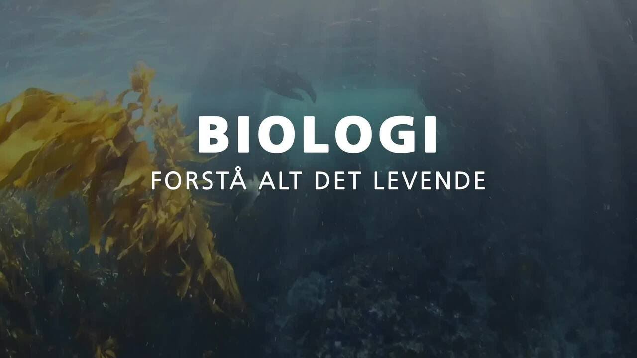 Biologi – forstå alt det levende