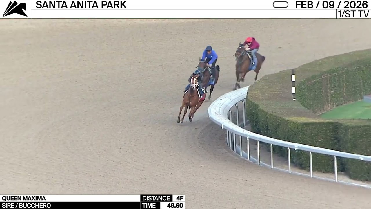 Work of the Day at Santa Anita Park: Queen Maxima worked 4 Furlongs in 49.60 on February 9th, 2026