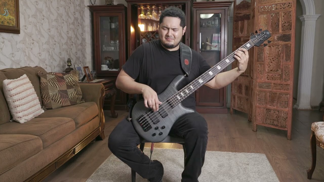 Laid to Rest (Lamb of God) - Bass Cover