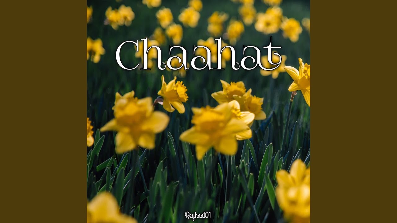 Chaahat