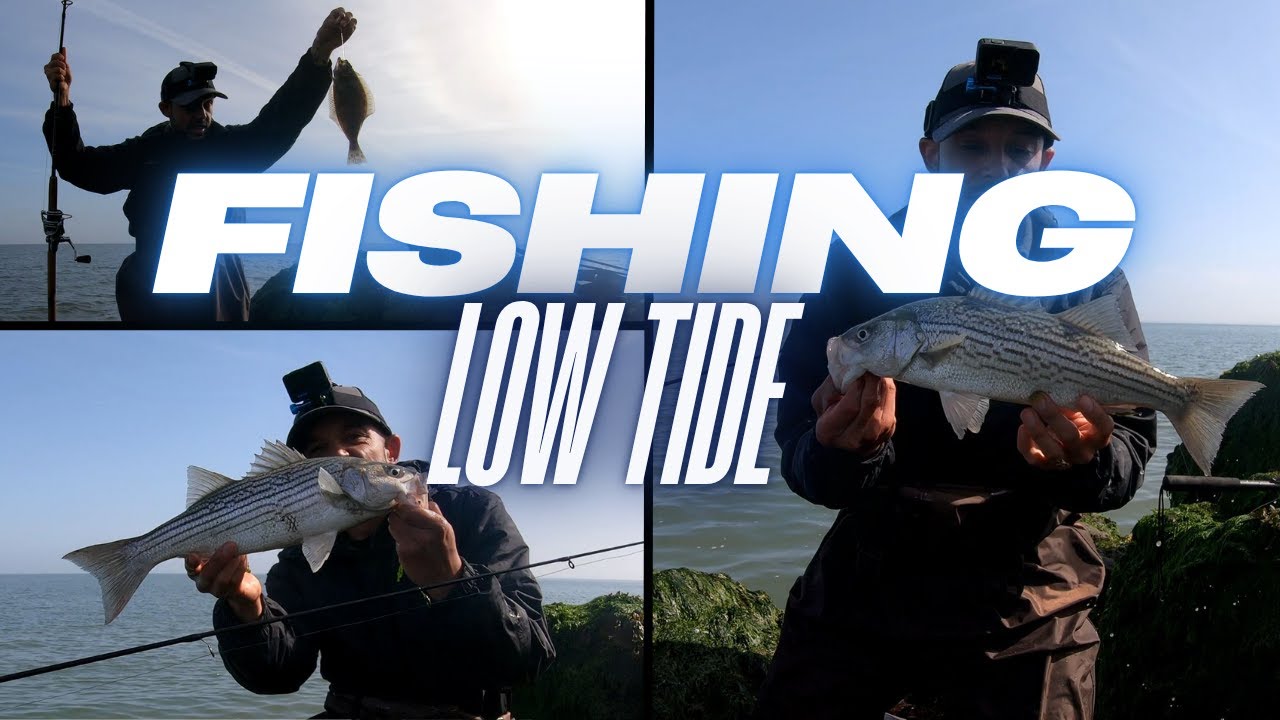 Fishing Low Tide W/ Lures in the SF Bay - Striped Bass & Halibut