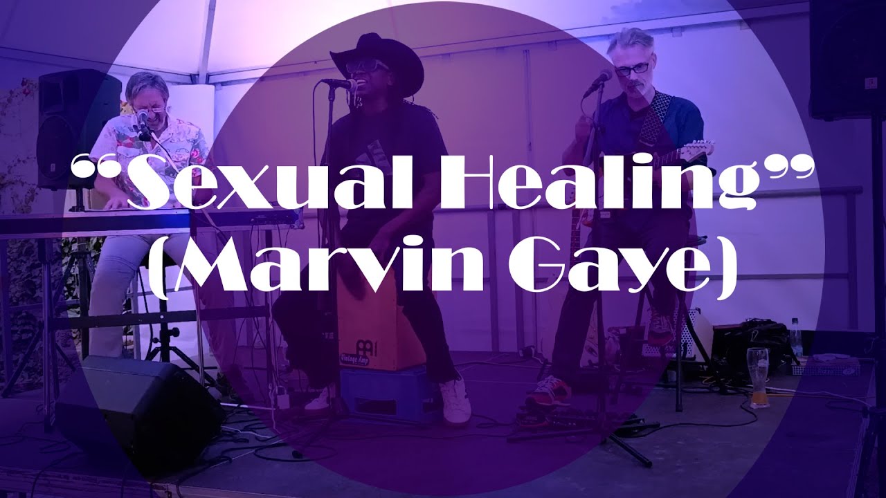 Sexual Healing (Marvin Gaye)