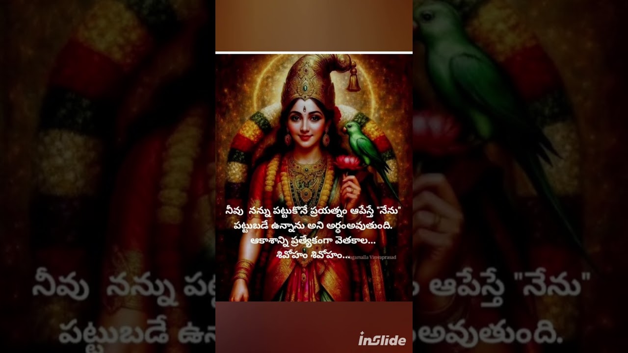 ఆధ్యాత్మిక వాక్యాలు 11/1 /2026