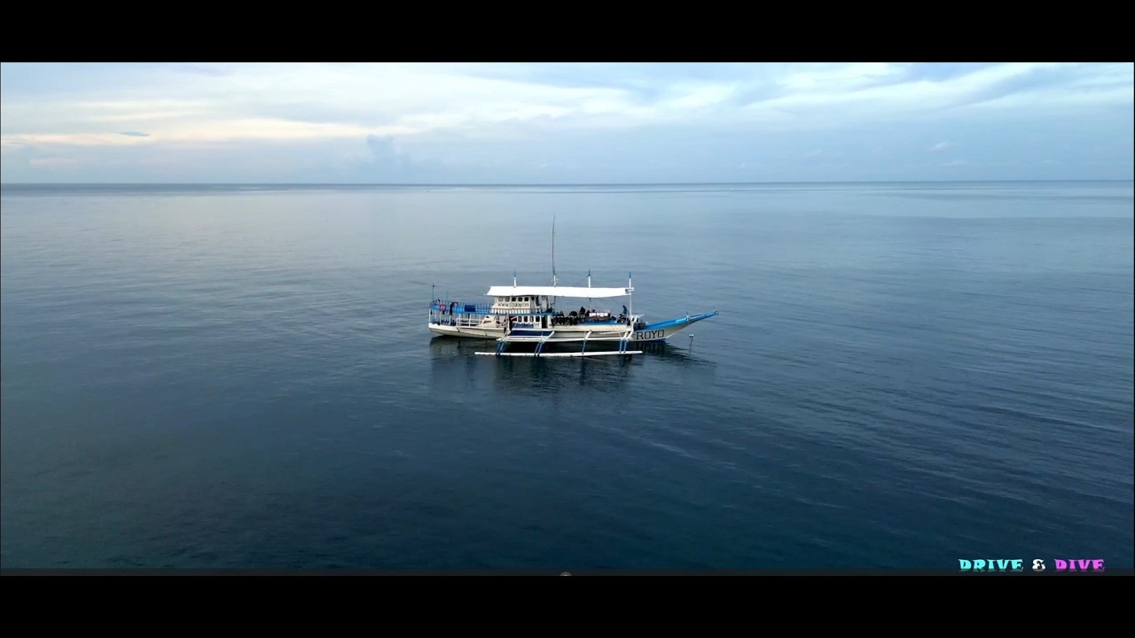 Tauchsafari Philippinen 🇵🇭 | Von Sipalay nach Moalboal – Einblicke & Interviews mit Easy Diving