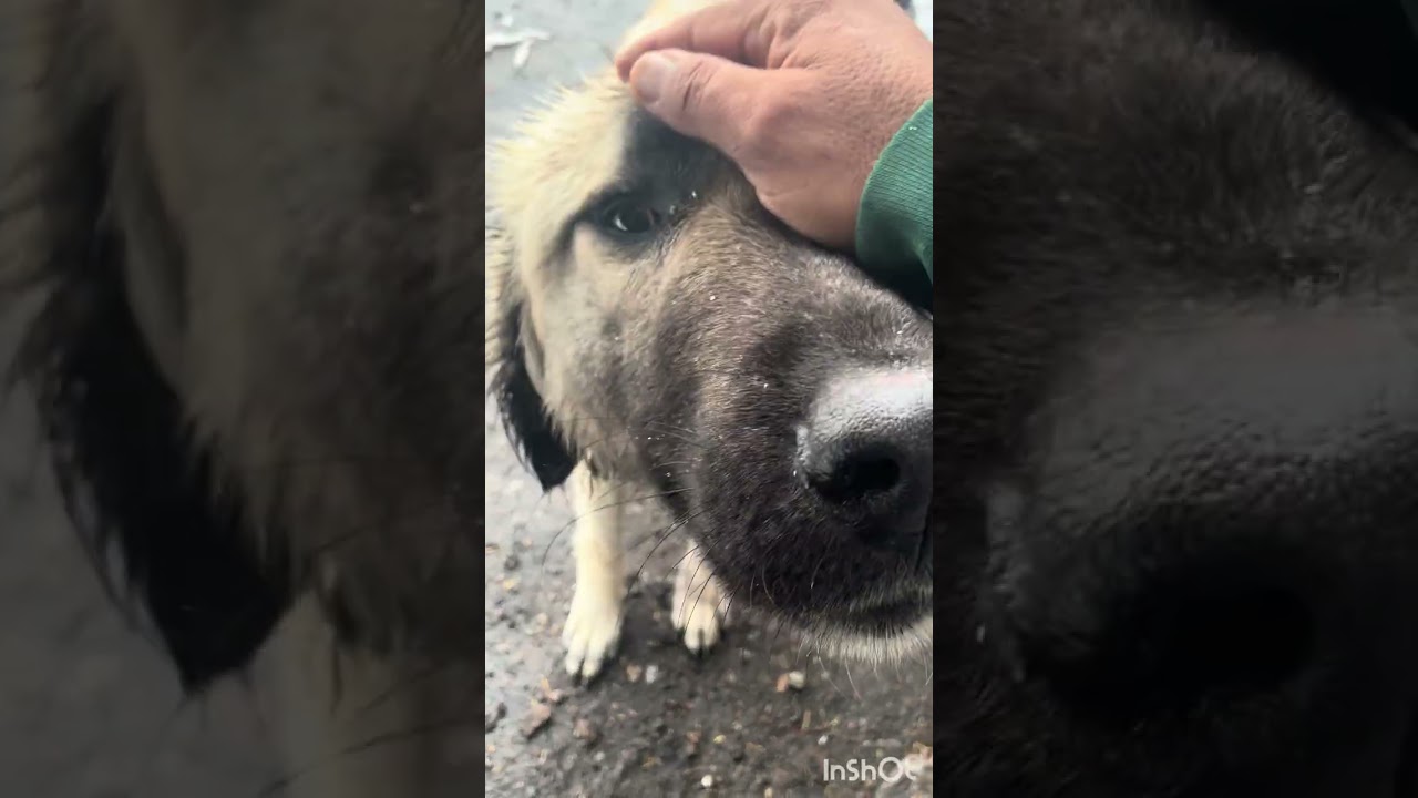 Donmak üzere buldum lütfen ama lütfen izlermisiniz 