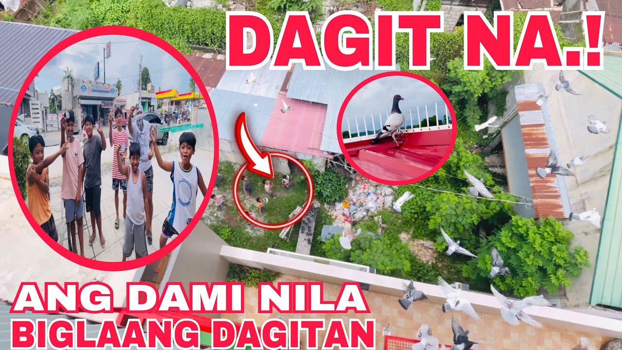 EP391 - DUMAYO NG DAGITAN MGA BATANG FANCIERS YARE NA.!