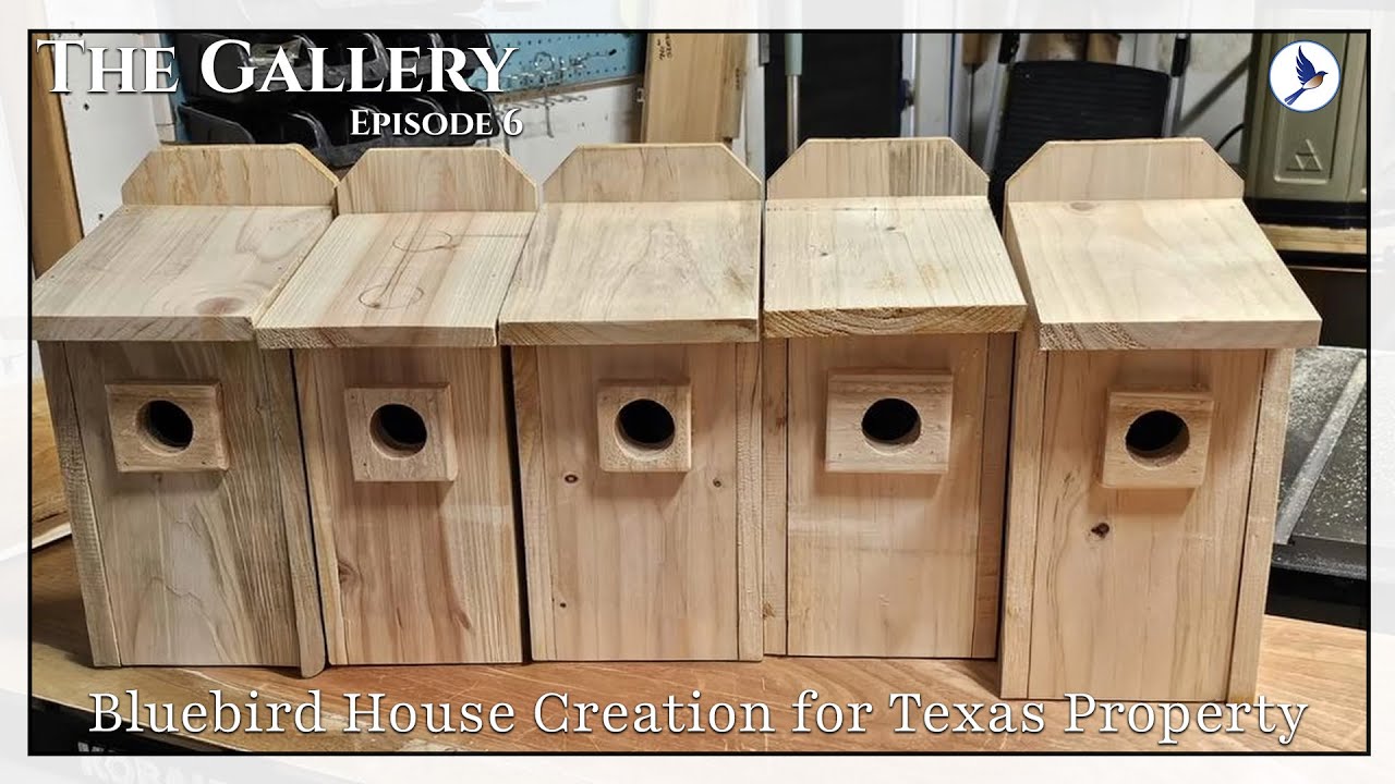 The Gallery | Episode 6 | Bluebird House Creation for Texas Property