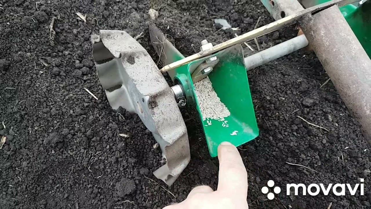 Сеялка ручная Роста. Отзыв.