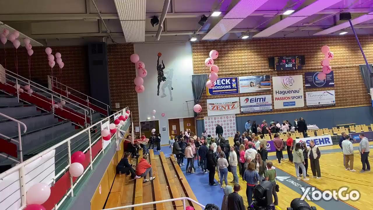 Pinks vs Geispolsheim - Championnat J04