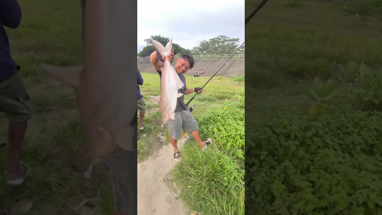 Hitungan detik pemancing langsung dapat ikan sak bantal 
