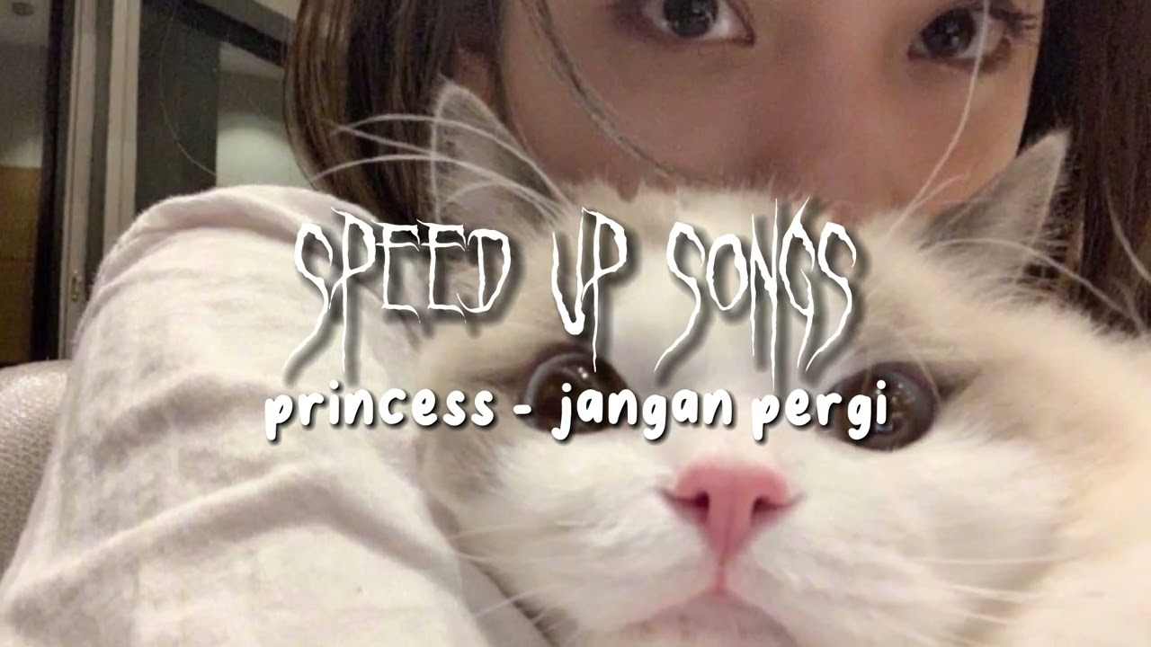 princess - jangan pergi「speed up song」
