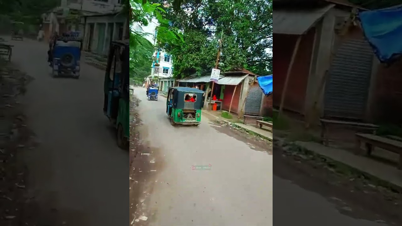 শিবপুরের ধানুয়া থেকে কলেজগেট