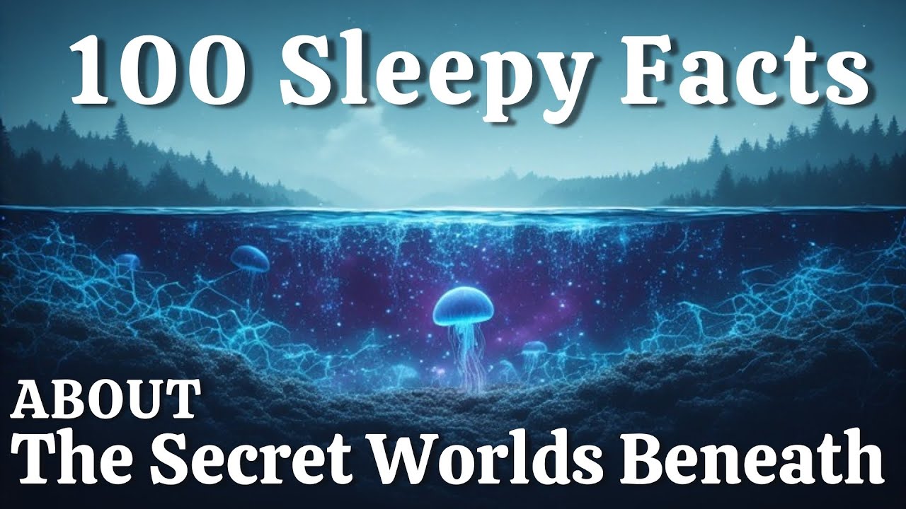 100 Sleepy Facts About The Secret World Beneath