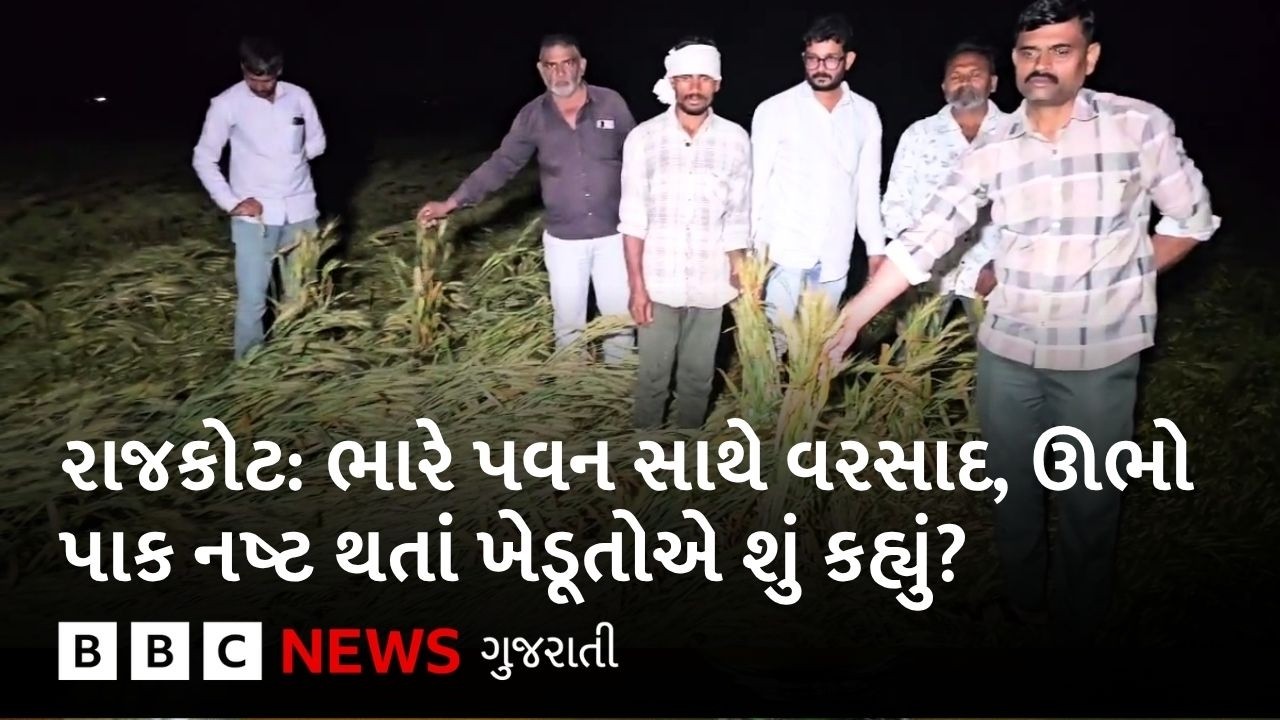 Gujarat Rain : 'હવે ખાવાના પણ ઘઉં ખરીદવા પડશે', માવઠાના કારણે ખેડૂતોને કેટલું નુકસાન થયું?