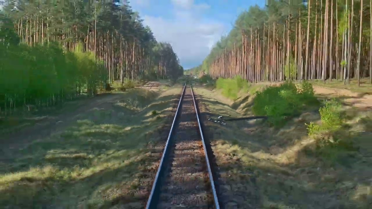 [rearview]: Lipowa Tucholska - Wierzchucin D29:201