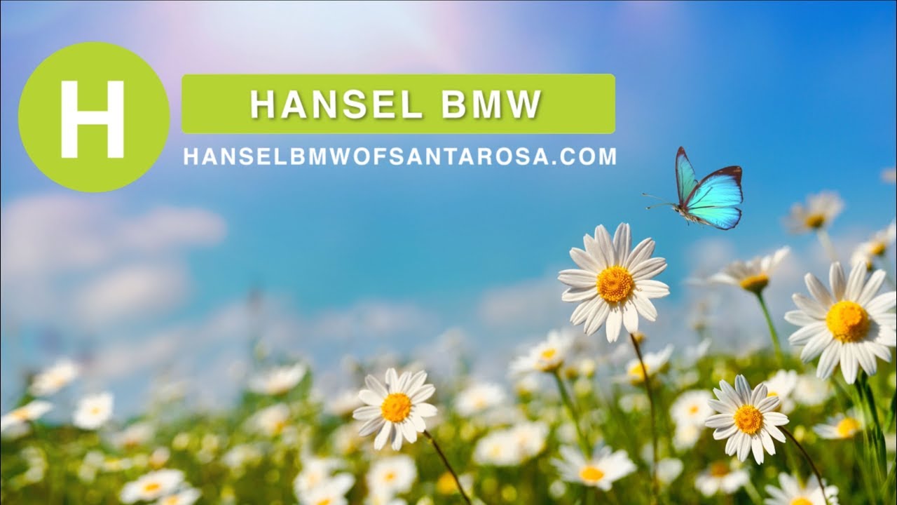 Hansel BMW - Cabin Air Filter