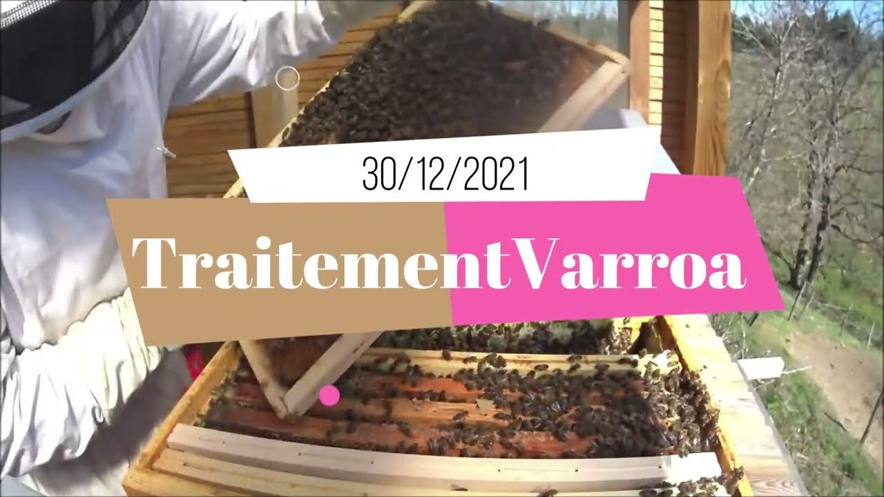 Traitement Varroa d'hiver #apiculture #abeille #ruche