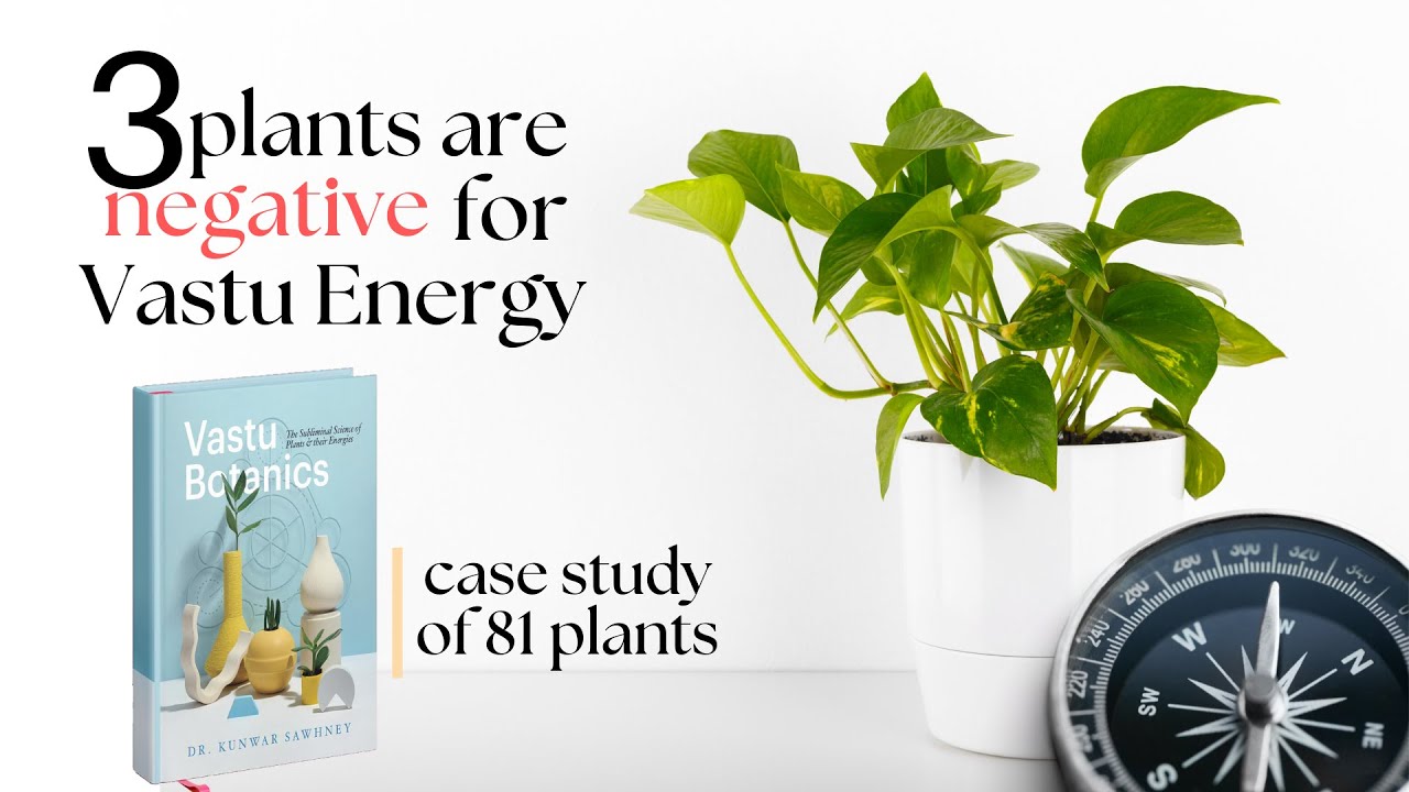 3 Negative plants | Vastu Botanics Book | Case study I Home Gardening