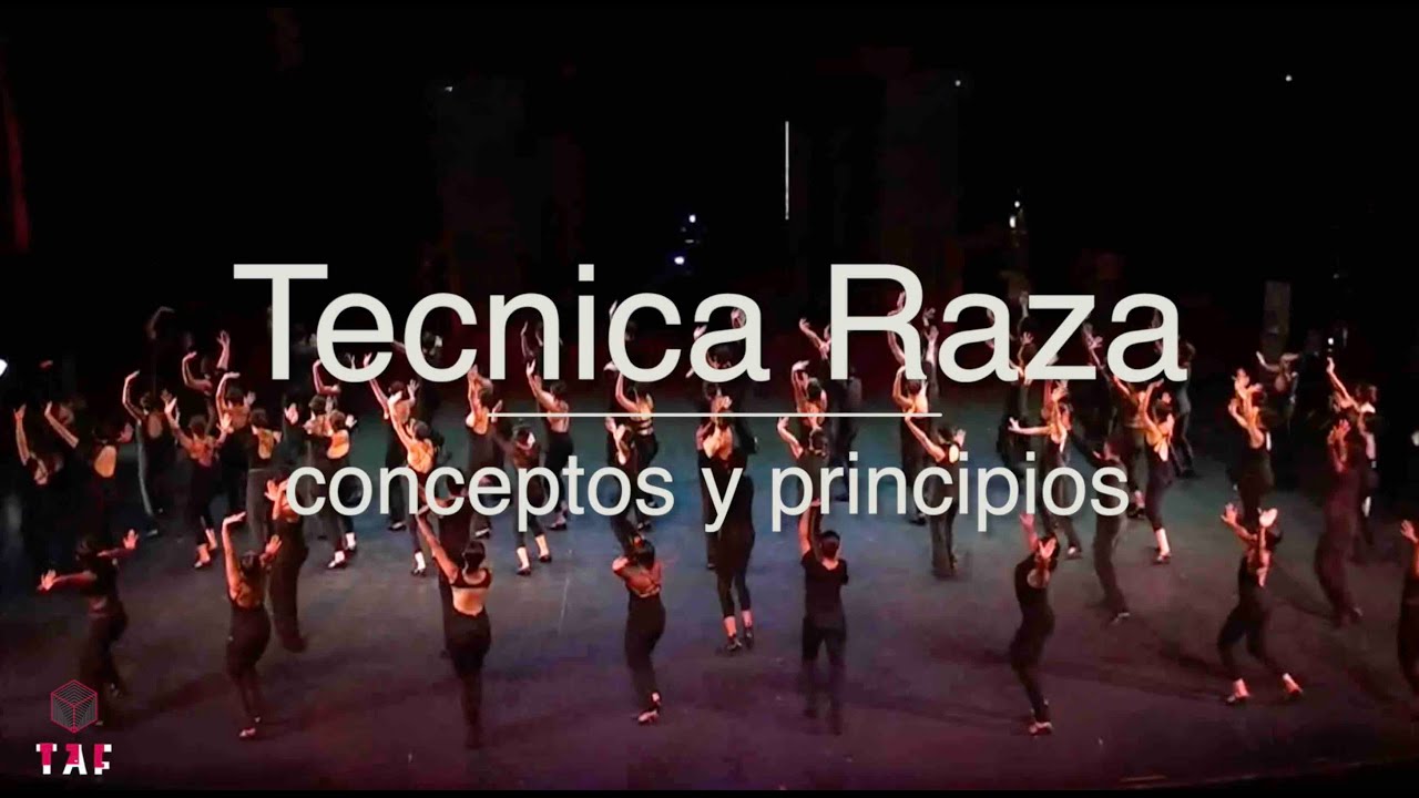 Tecnica Raza principios y conceptos