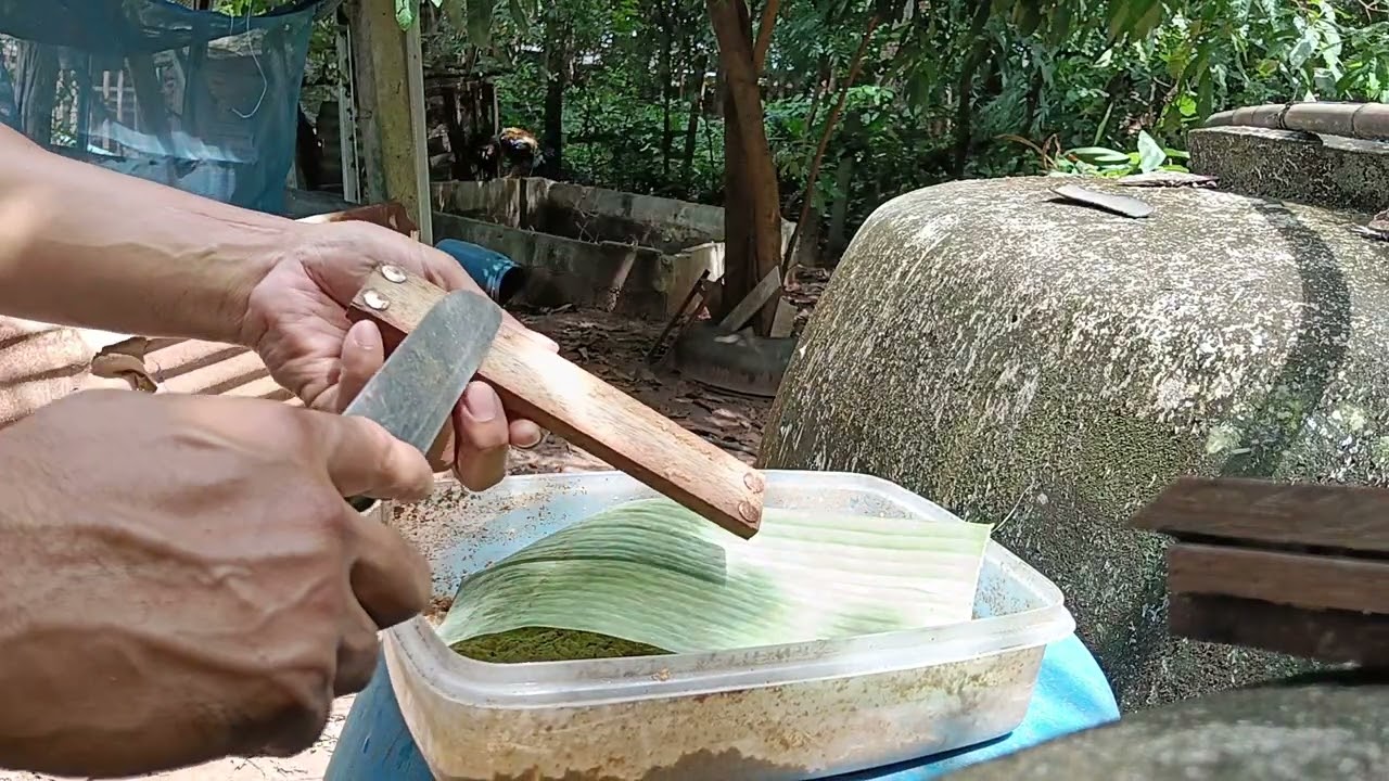 แนะนำเทคนิควิธีการเลี้ยง หนอนแมลงวันลาย 