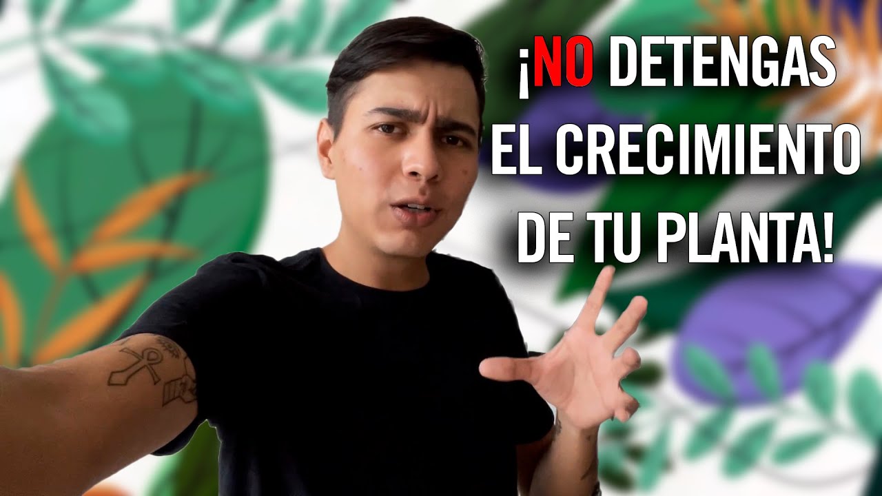 TU PLANTA PIDE UN TRASPLANTE! | CONSEJOS PARA EL CULTIVO| TUTORIAL