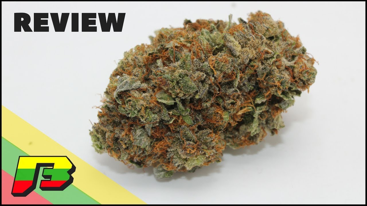 Bubba Kush Weed Review | BammerTV