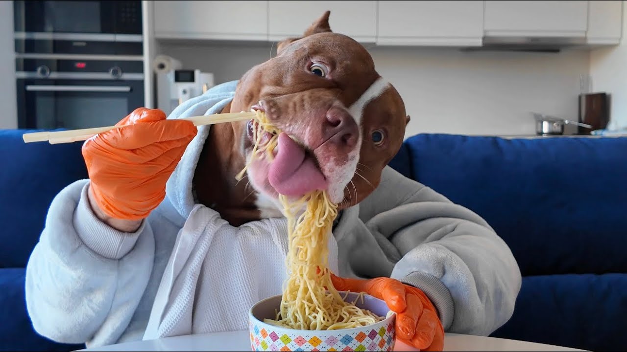 CHOCOLUNCH: Noodles