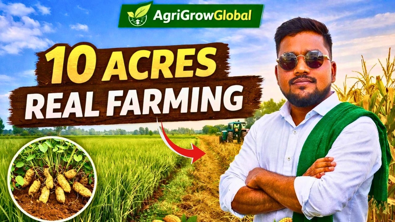 నిజమైన రైతు – 10 ఎకరాల వ్యవసాయం | Real Farming Journey Begins