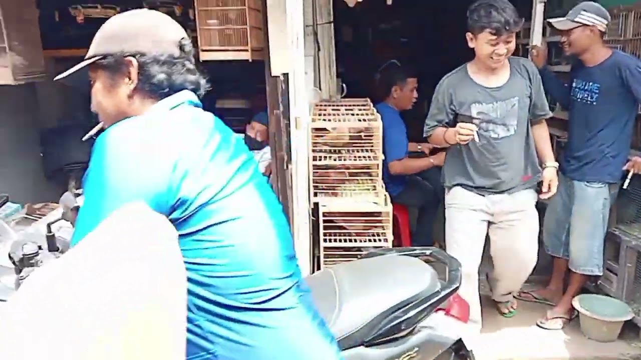 KUMPULAN VIDEO MERPATI PASAR KEBAYORAN LAMA#trending #viralvideo #merpatibalap #merpatiku