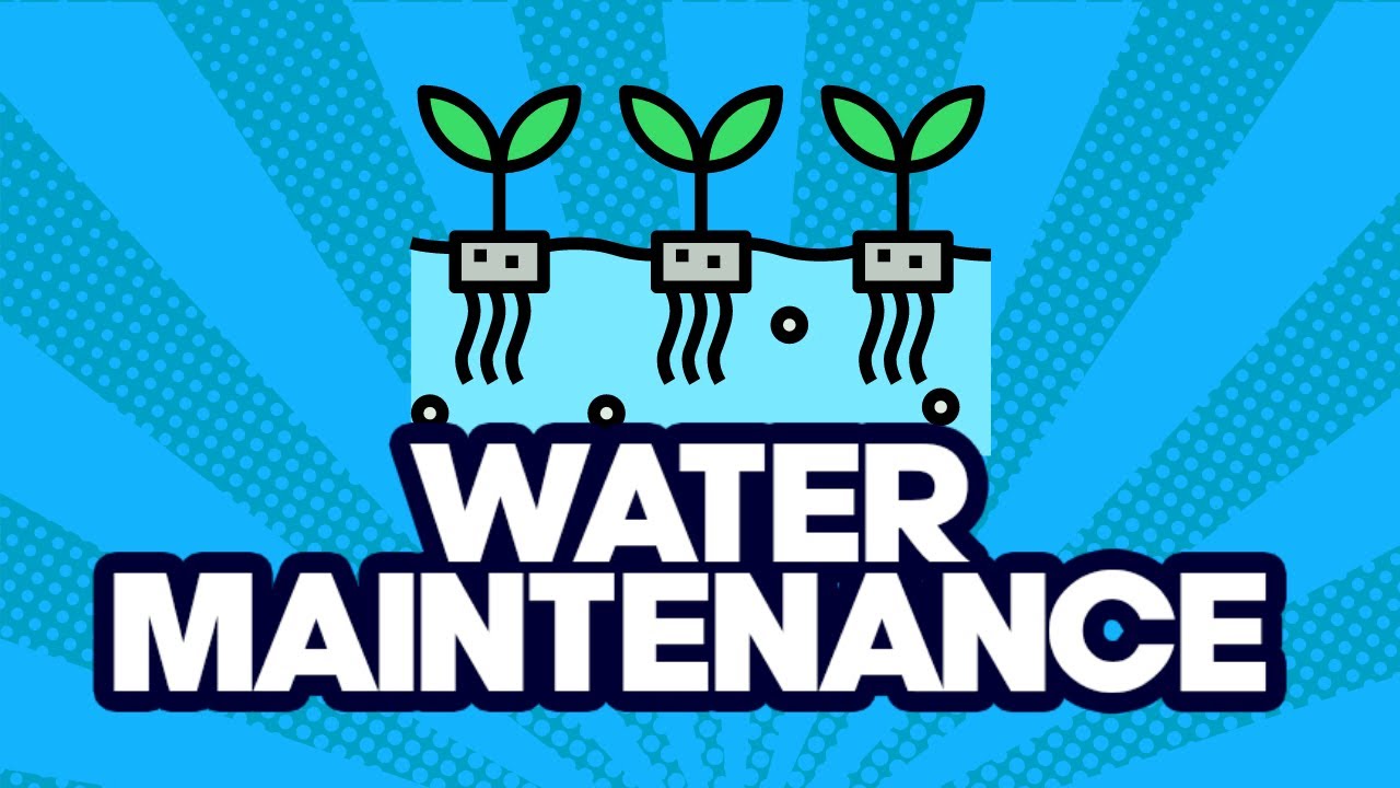 Water Maintenance Pro-Tips [Beginner Hydroponics]
